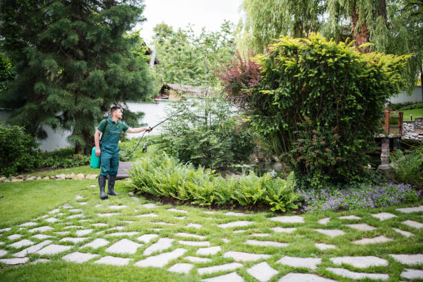 Best Affordable Pest Control Services  in South Lebanon, OH