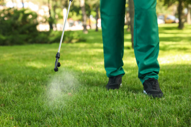 Best Affordable Pest Control Services  in South Lebanon, OH