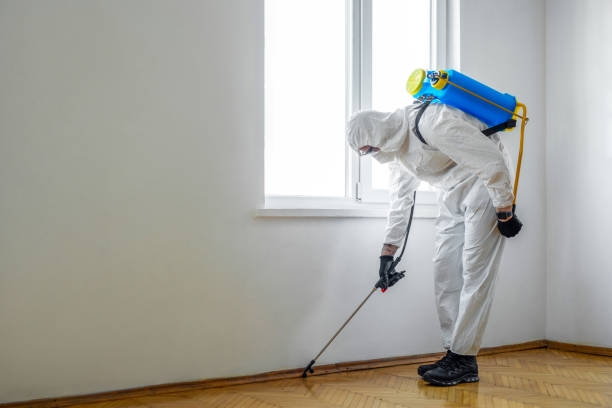 Best Wildlife Control Services  in South Lebanon, OH