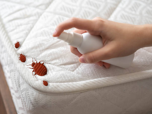 Best Mosquito Control Services  in South Lebanon, OH