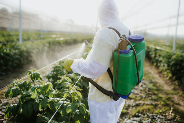 Pest Control Cost in South Lebanon, OH
